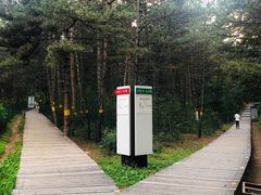 -帽儿山国家森林公园