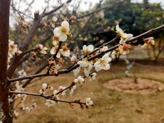 -中国移动南方基地