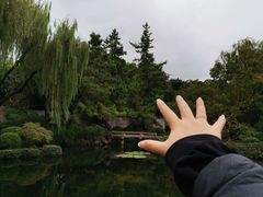 -秋霞圃