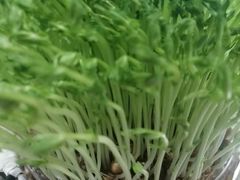 -好彩猪肚鸡(正弘城店)