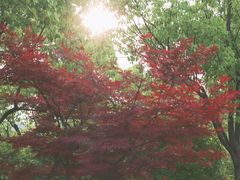 -宝界山林公园