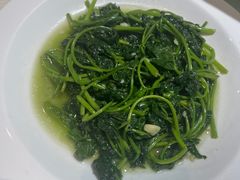 -吉森温泉养生酒店-中餐厅