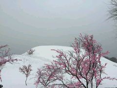 -麦斯汀烘焙坊(建昌兴隆店)