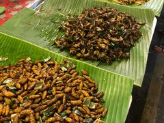 -席娜卡琳火车铁道夜市