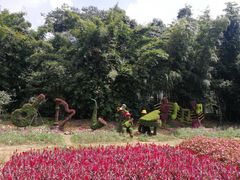 -广州市石门国家森林公园