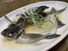 -四海酒家生态粤菜