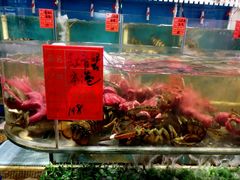 -鑫悦楼煎蟹·16年海鲜大排档