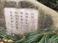 -八卦田遗址公园