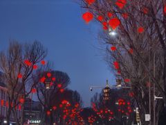 -老三羊汤【北兴隆街店】