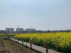 -田园东方蜜桃村的田野营地