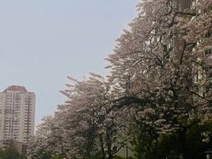 -成都市活水公园