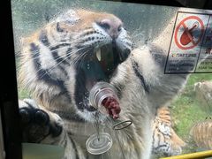 -栾川竹海野生动物园