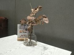 -娜娜家·Nana's restaurant(国金汇店)