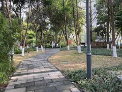 -成都市活水公园