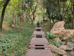 -深圳国际园林花卉博览园