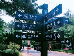 -日照海滨国家森林公园