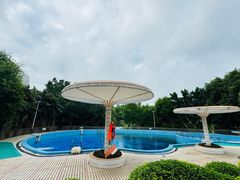 -南宁良凤江国家森林公园