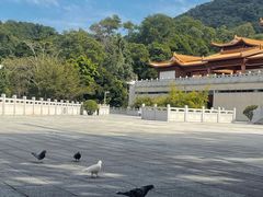 -深圳仙湖植物园