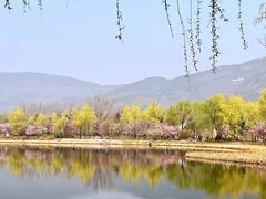 -国家植物园