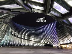 -凤凰中心
