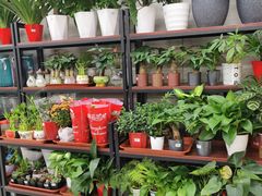 -物美大卖场(玉蜓桥店)