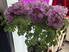 -春竹·微奥莱(北京西路店)