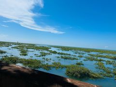 -北海金海湾红树林生态旅游区