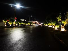 -马白开来特色羊排揪片子  (总店)