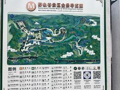 -野象谷景区