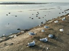 -东台吉乃尔湖