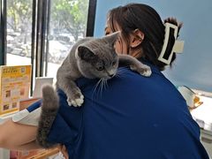 -博特宠物医院24h犬猫全科.骨科·异宠