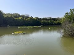 -天生桥景区