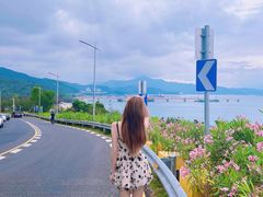 -玫瑰海岸文化旅游度假区
