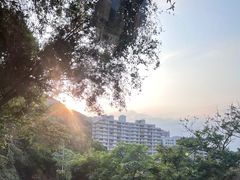 -太平山顶