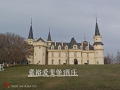 -北京张裕爱斐堡酒庄