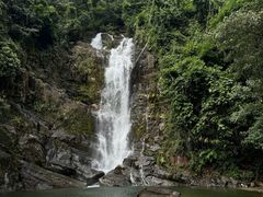 -鼎湖山风景区