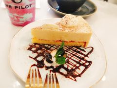 -飞行喵MR PILOT|猫舍·猫咖(静安大融城店)