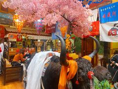 -吉祥圣雪藏餐