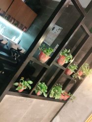 -时尚殿堂明星门店