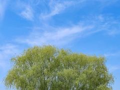 -漕湖湿地公园