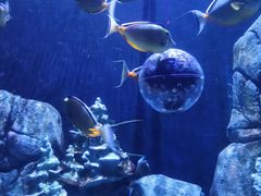 -成都浩海立方海洋公园