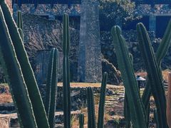 -MOJ coffee(瓯海泽雅水碓坑店)