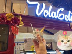 -Vola Gelato意大利手工冰淇淋(朝阳大悦城店)