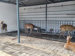 -长春农业博览园