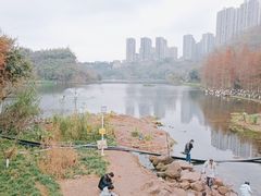 -重庆彩云湖湿地公园