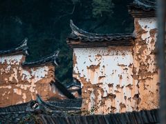 -杨家堂村
