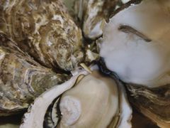 -黑牛码头·小龙虾·烧烤