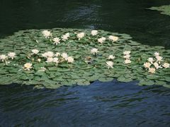 -西湖天地