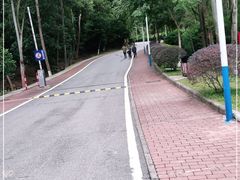 -火炉山森林公园