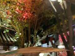 -三只耳火锅(宽窄巷子店)